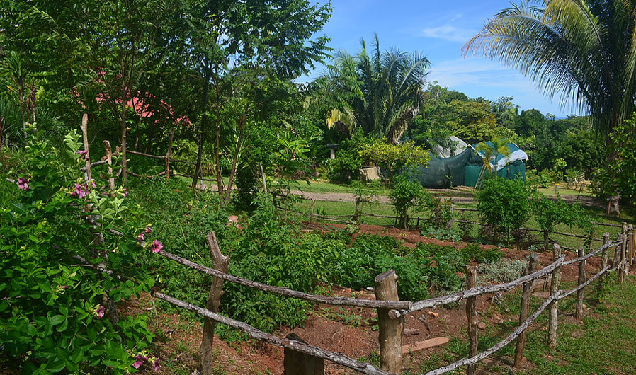 permaculturecostarica Eco Village Costa Rica